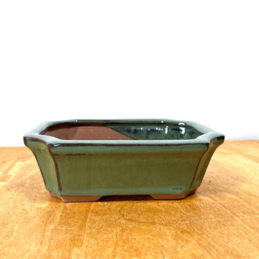 Pot 6