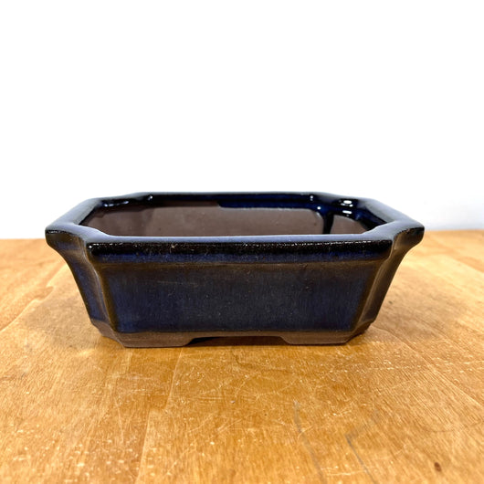 Pot 6