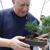 March 22, 2025 Bonsai Maintenance Workshop