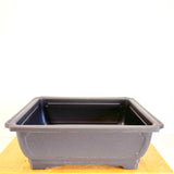 Plastic Pot 15 in Rectangle