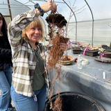 March 28th, 2026 Bonsai Maintenance Workshop