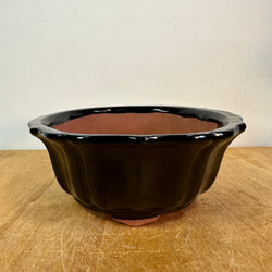 Glazed Mirror Bonsai Pot (8 x 3 inches) Black