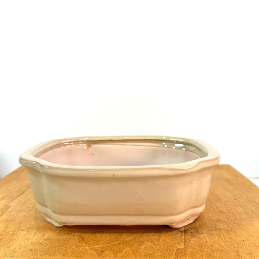 Pot 10 In. White/Beige