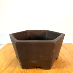 Pot Unglazed Hex 9 In
