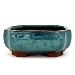 Glazed Rectangular Bonsai Pot (6 x 4¼ x 2½ inches)