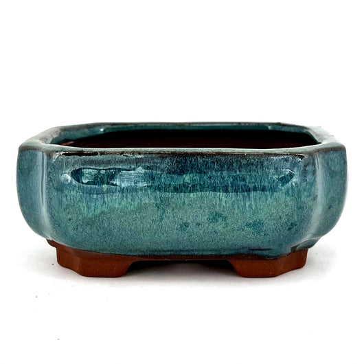 Glazed Rectangular Bonsai Pot (6 x 4¼ x 2½ inches)