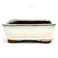 Glazed Rectangular Bonsai Pot (6¼ x 4½ x 2¼ inches)