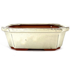Glazed Rectangular Bonsai Pot (8 x 6¼ x 2¾ inches)
