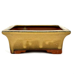 Glazed Rectangular Bonsai Pot (6¼ x 4¾ x 2¼ inches)
