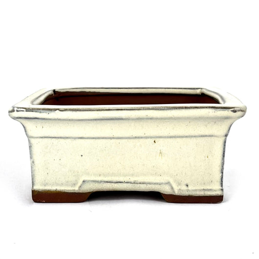 Glazed Rectangular Bonsai Pot (6 x 4¾ x 2½ inches)
