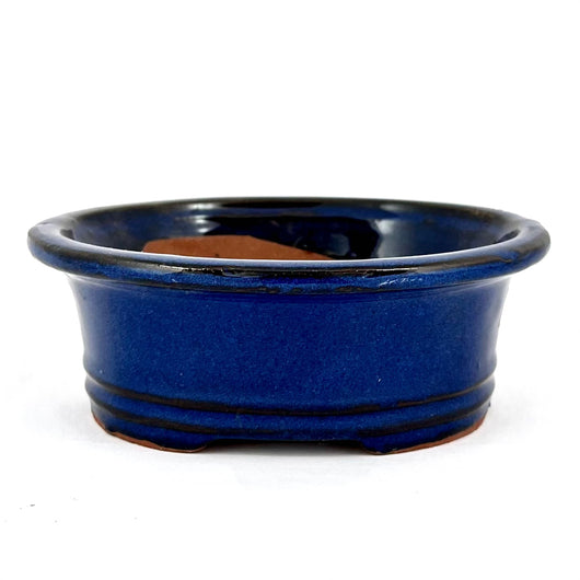 Glazed Oval Bonsai Pot (6 x 5¼ x 2½ inches)