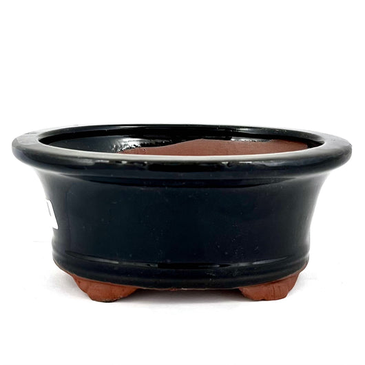 Glazed Oval Bonsai Pot (6 x 4½ x 2½ inches)