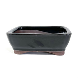 Glazed Rectangular Bonsai Pot (6 x 4½ x 2 inches)