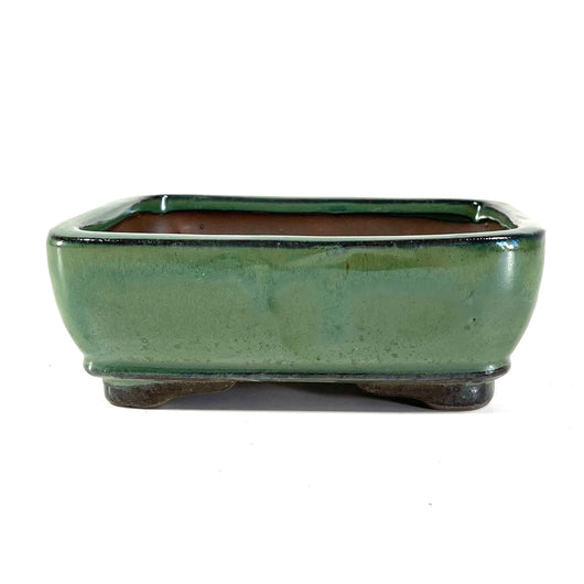 Glazed Rectangular Bonsai Pot (7 x 5½ x 2½ inches)