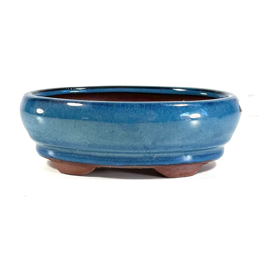 Glazed Oval Bonsai Pot (7 x 5 x 2 inches)