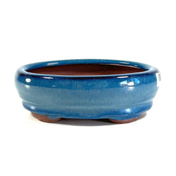 Glazed Oval Bonsai Pot (5½ x 4 x 1¾ inches)