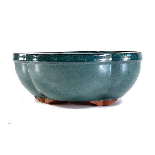 Glazed Mokko Bonsai Pot (10 x 8 x 4 inches)