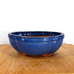 Glazed Mokko Bonsai Pot (10 x 8 x 4 inches)