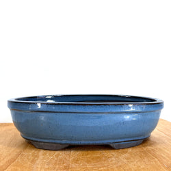 Oval Glazed Bonsai Pot (12 x 8 x 3 inches)