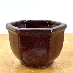 Square Glazed Bonsai Pot (3 ¼ x 3 ¼ x 2 ½ inches)