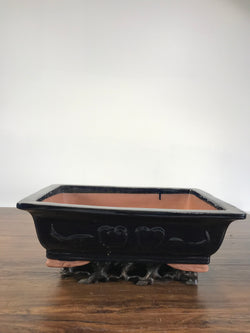 Bonsai Pot Glazed