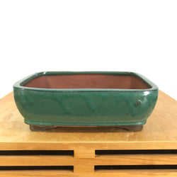 Pot 10