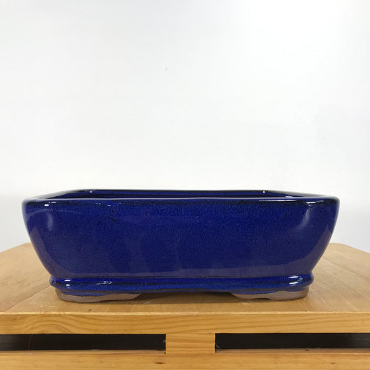 Glazed Bonsai Pot (10 x 8 x 3.2 inches)