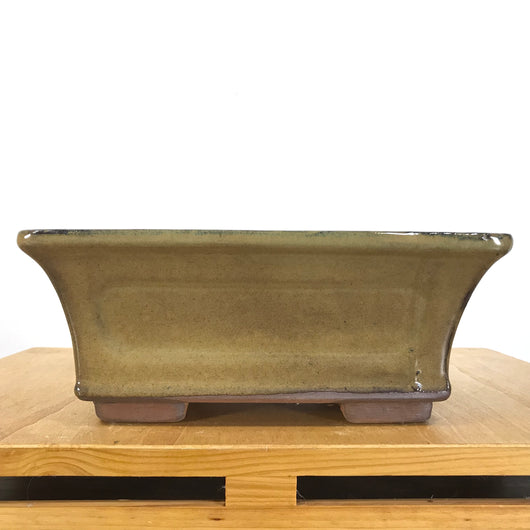 Glazed Rectangular Bonsai Pot (10 x 8 x 4 inches)