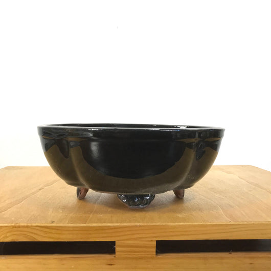 Glazed Mokkou Bonsai Pot (8 x 6.5 x 3.25 inches)