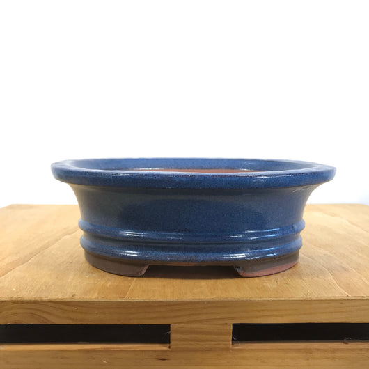 Glazed Oval Bonsai Pot (8 x 6.5 x 2.75 inches)