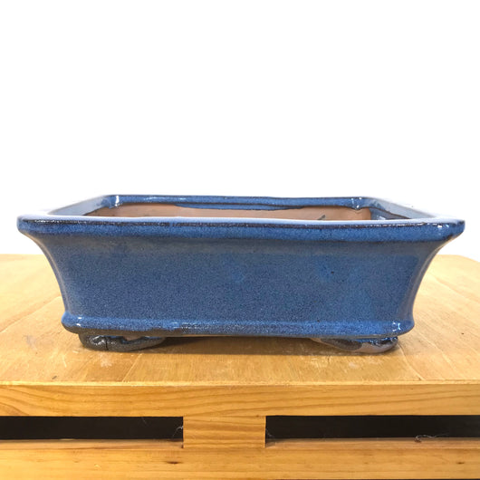 Glazed Rectangular Bonsai Pot (8 x 6.5 x 2.75 inches)
