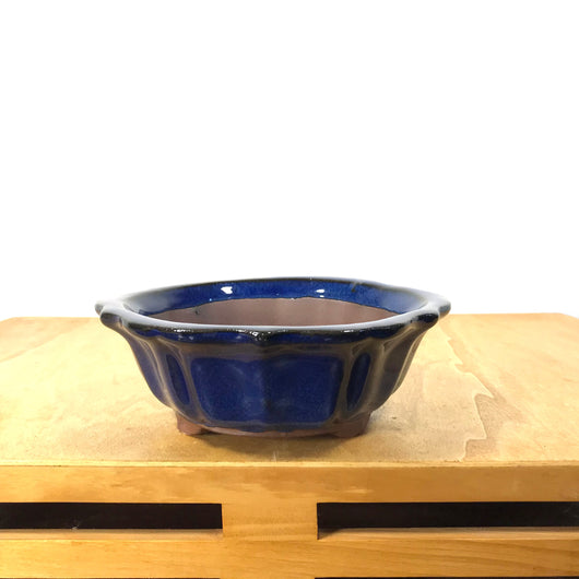 Glazed Mirror Bonsai Pot (6 x 2 inches)
