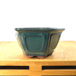 Glazed Hexagonal Bonsai Pot (6 x 3.5 inches)