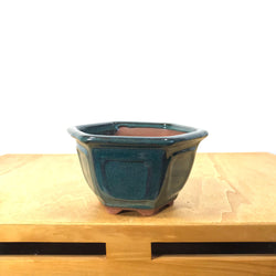 Glazed Hexagonal Bonsai Pot (4.5 x 2.5 inches)