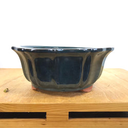 Glazed Mirror Bonsai Pot (8 x 3 ¼ inches)