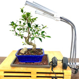 Plant Grow Light 150 watt
