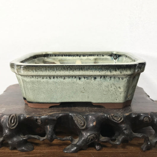 Glazed Rectangular Bonsai Pot (7 x 5.7 x 2.6 inches)